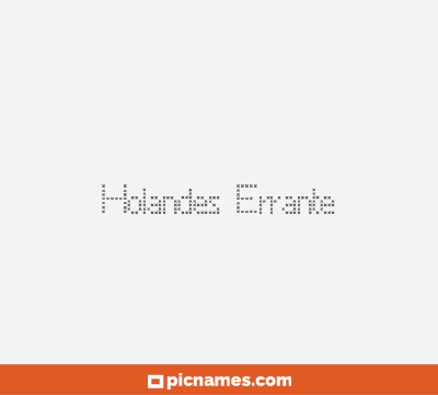 Holandés Errante